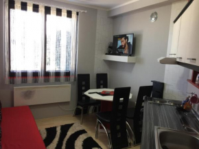 Apartman 2 Kopaonik - Vila Boris